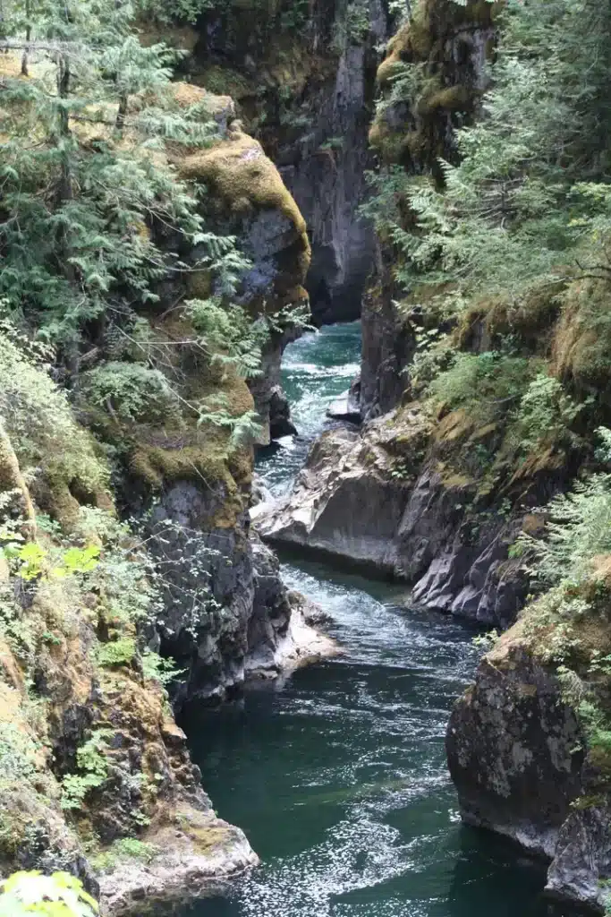 Canada British Columbia natuur Qualicum 1