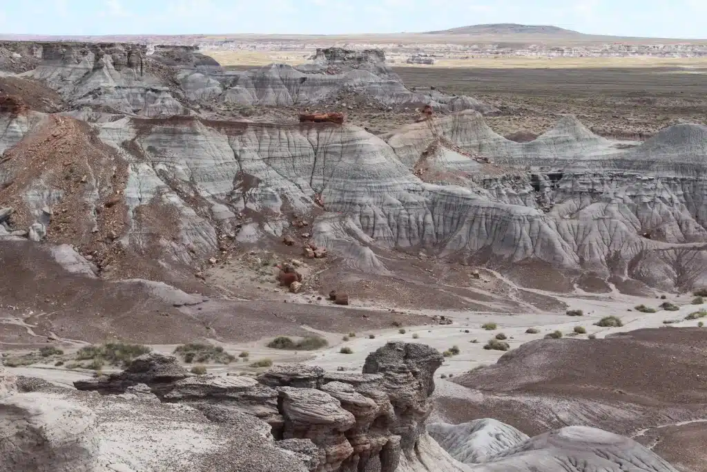 USA Arizona natuur Petrified Forest Blue Mesa trailhead 2