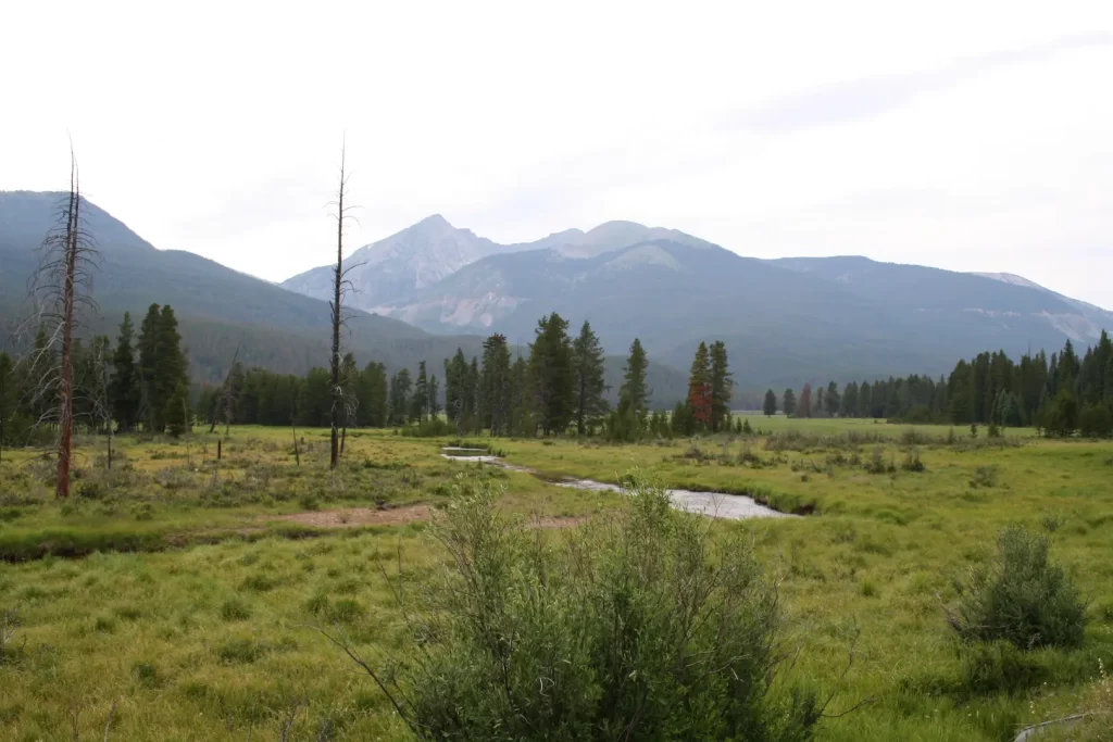 USA Colorado natuur Rocky Mountains bergweide