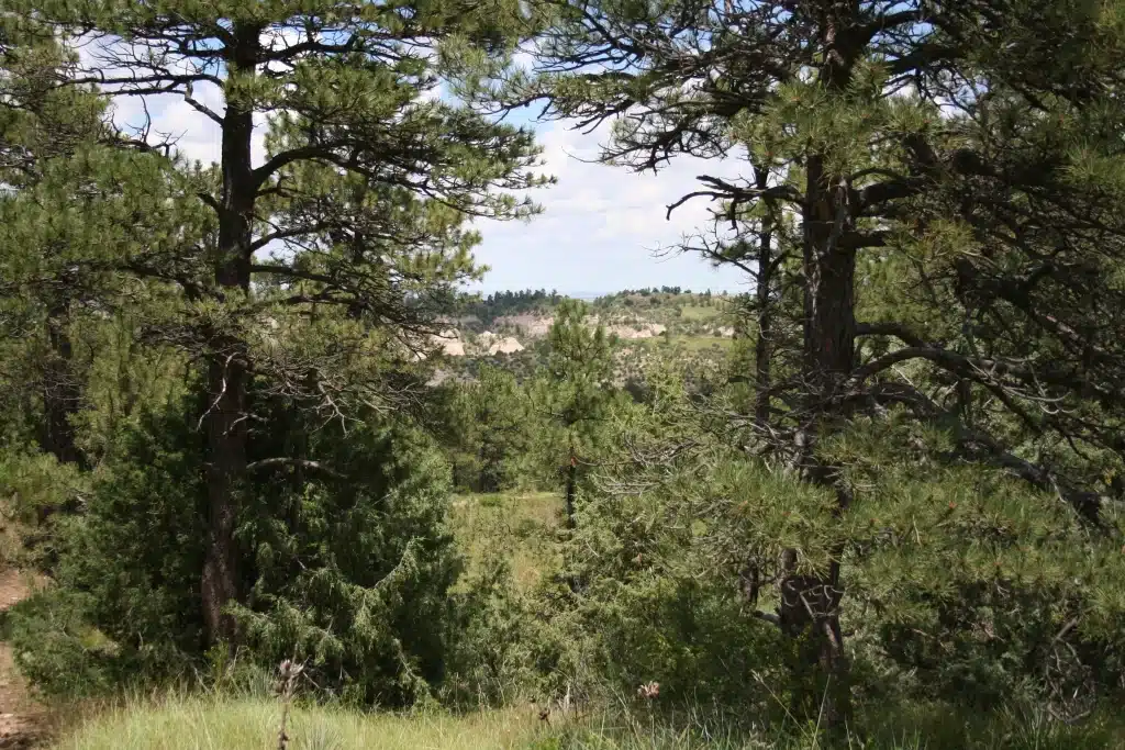 USA Nebraska Natuur Wildcat Hills gebied
