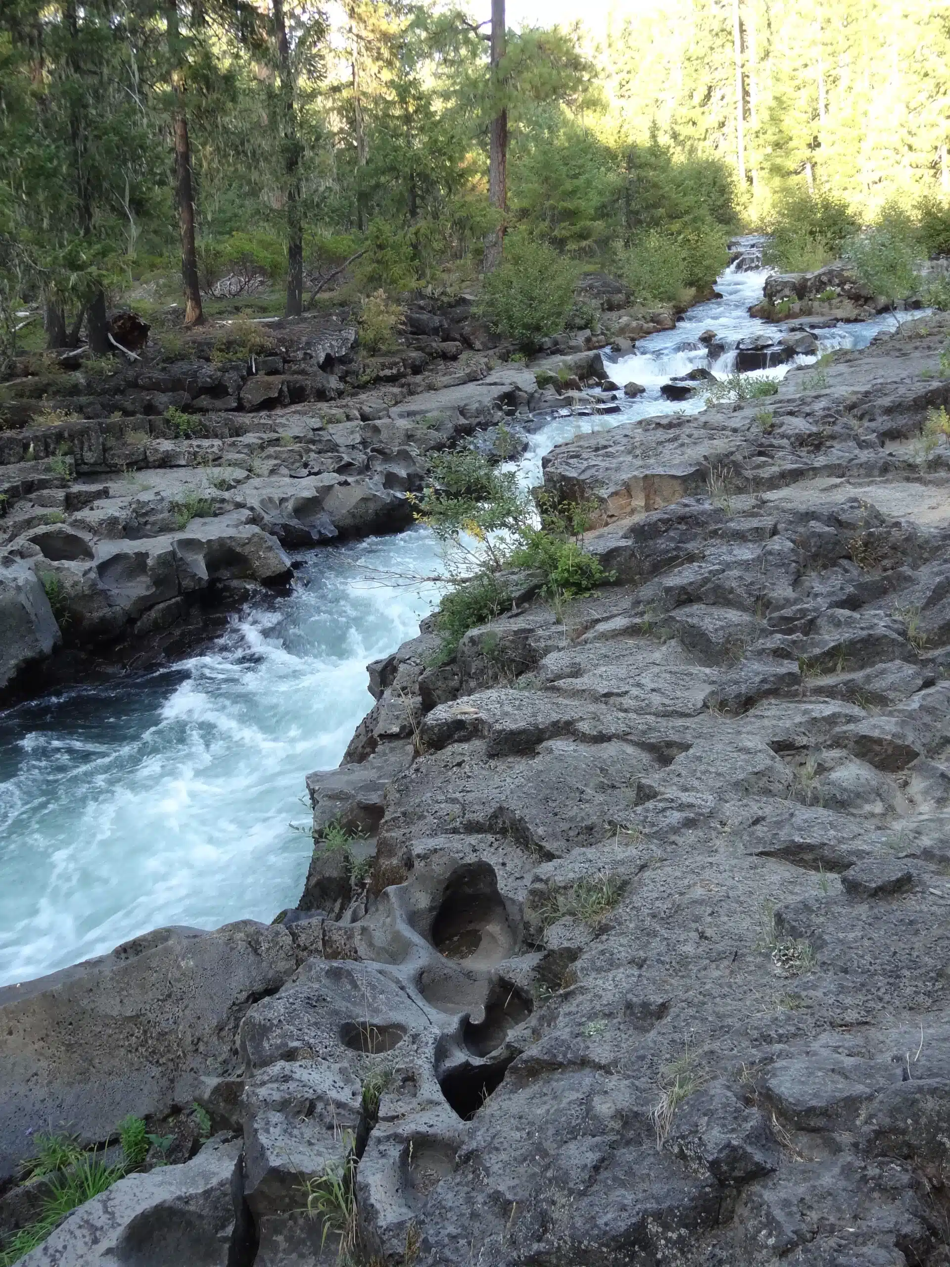 USA Oregon natuur Rogue Gorge stroomversnelling scaled