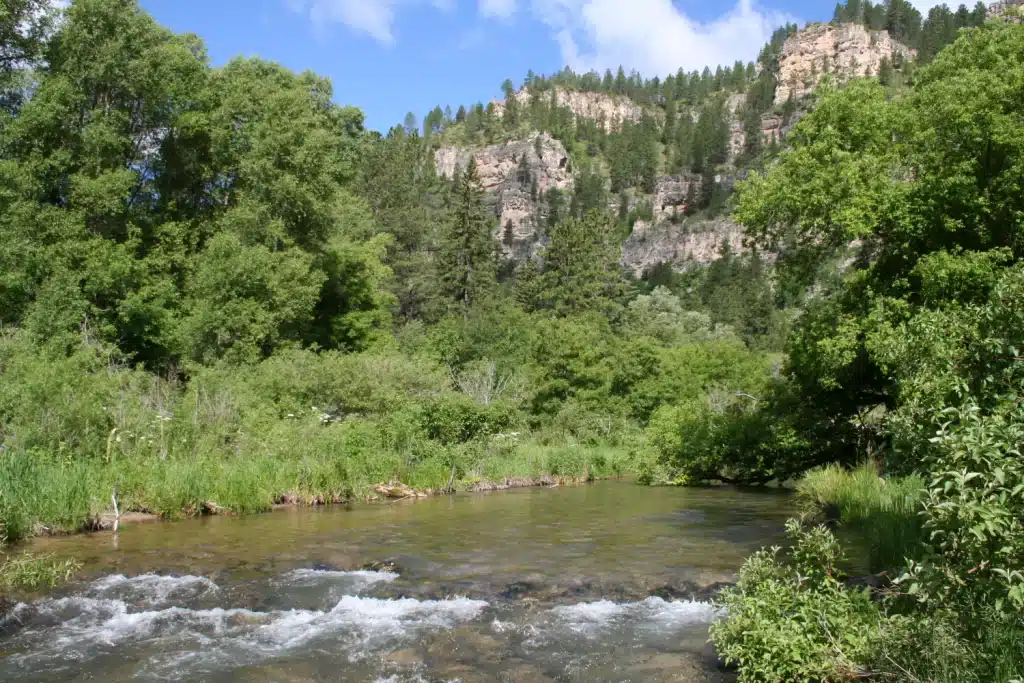 USA South Dakota natuur Black Hills rivier