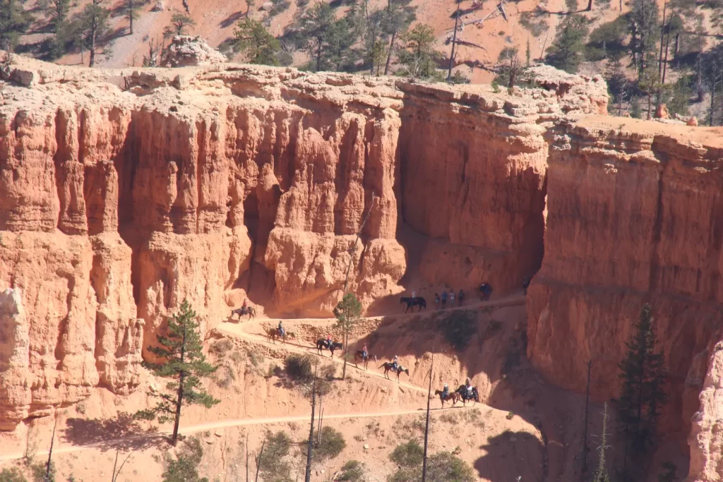 USA Utah natuur Bryce te paard