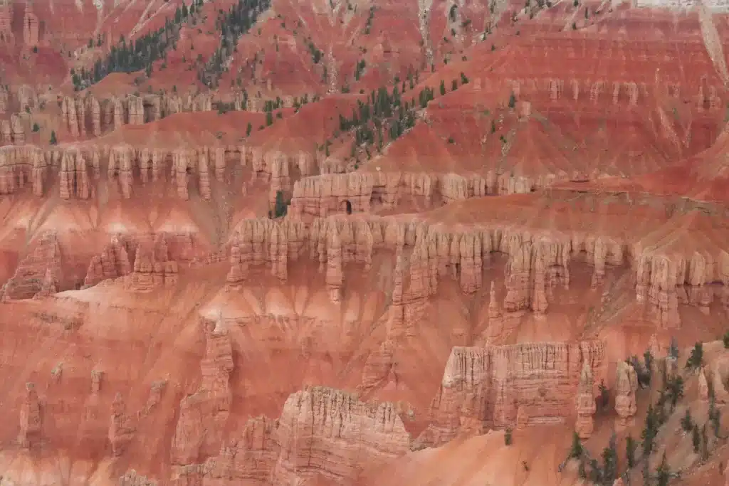 USA Utah natuur Cedar Breaks detail