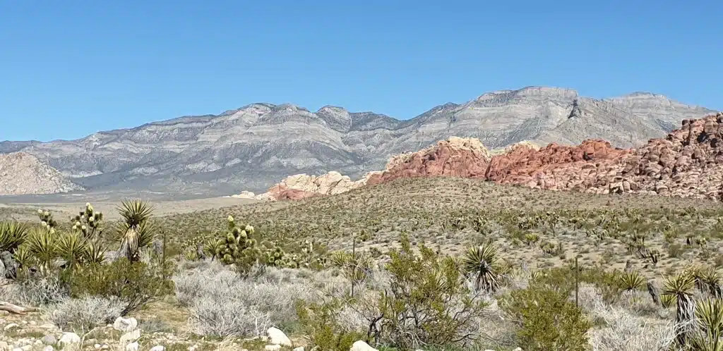 Uitzicht in Red Rock Canyon