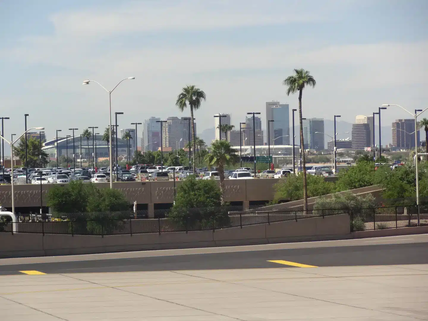 Phoenix-ZZW