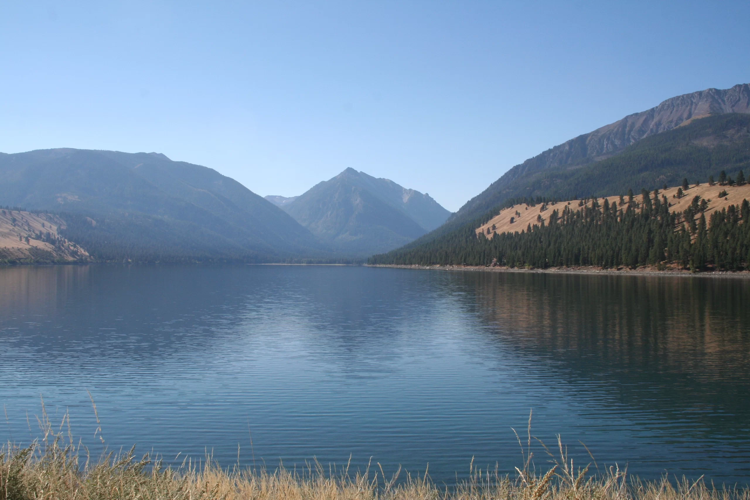 USA Oregon Natuur Eagle Wallowa Lake scaled