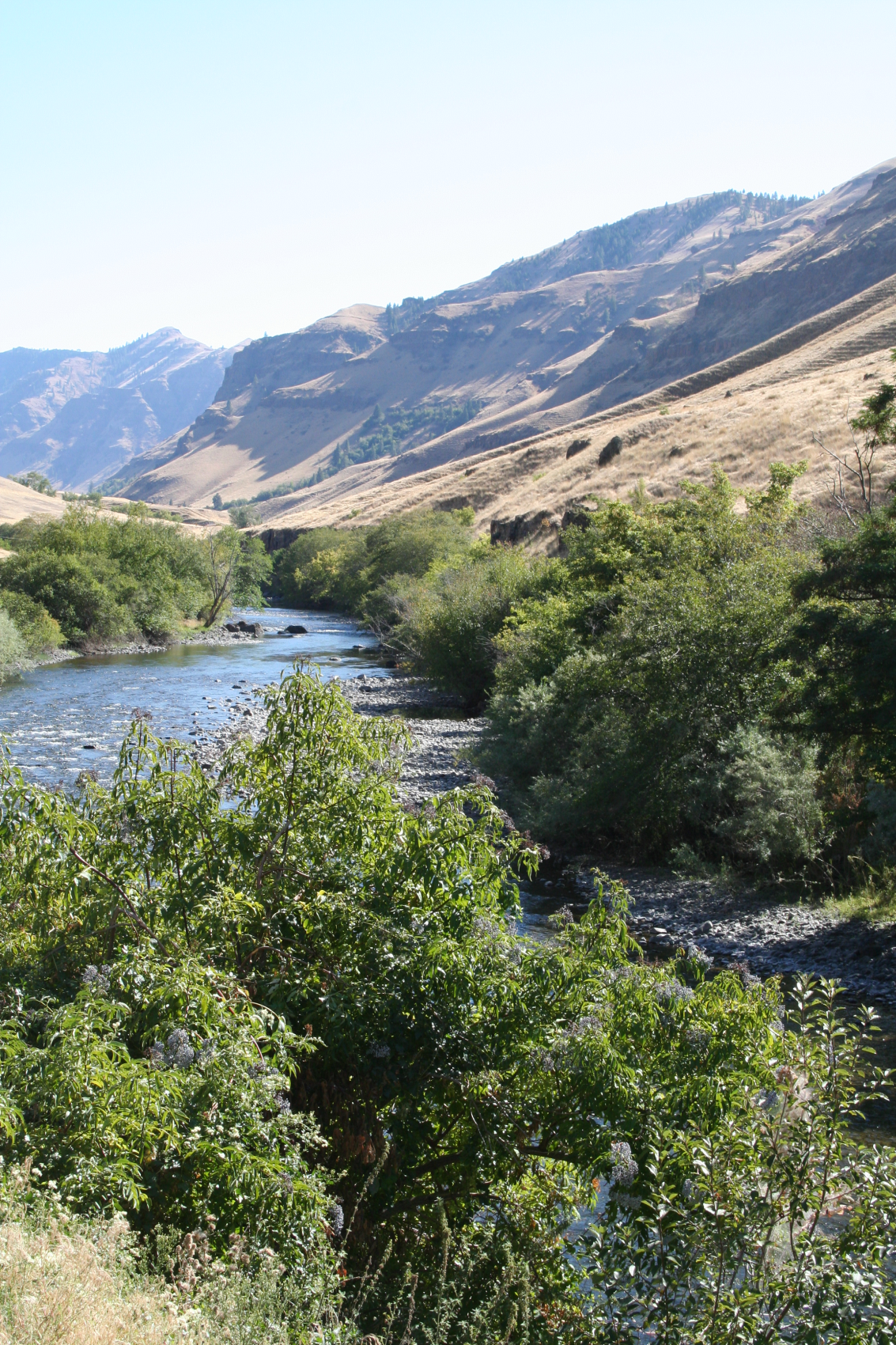 USA Oregon natuur Wallowa Whitman rivier 1