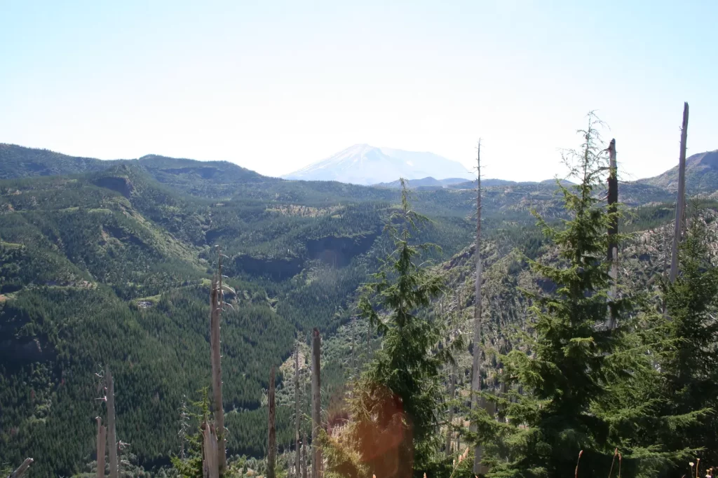 USA Washington natuur Mount StHelens bossen